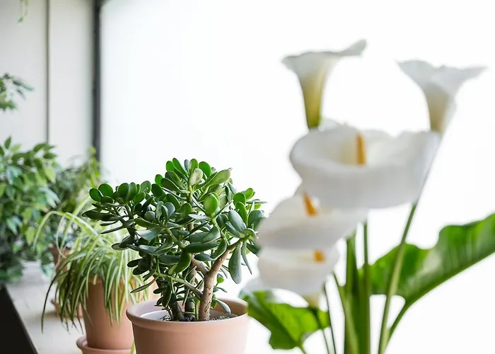 Guestready - Modern In Gaia Apartmán